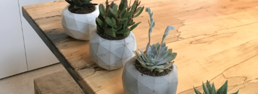 Geometric concrete planters