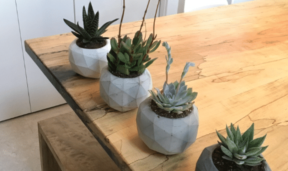 geometric concrete planters