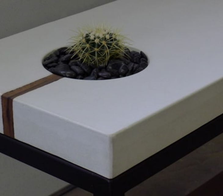 succulent sofa table